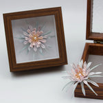 Queen of the Night - Epiphyllum Art Decorations