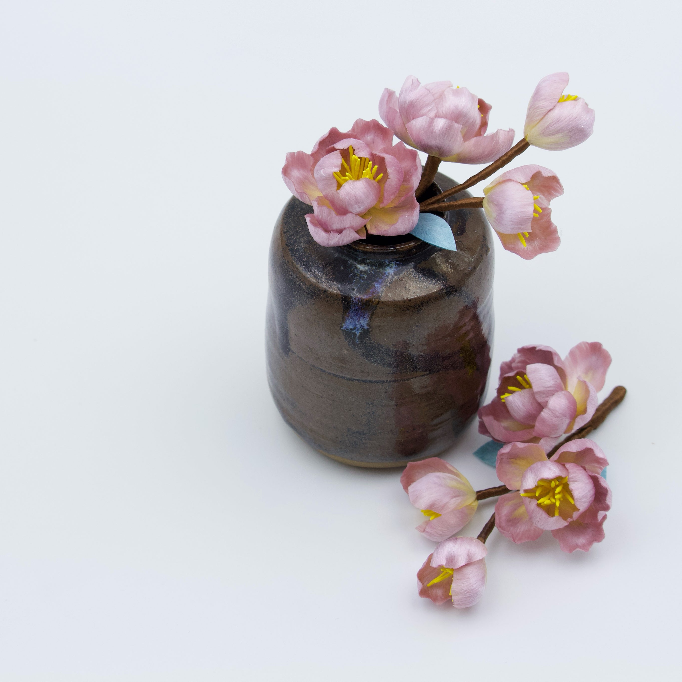 Tang Blossom Delight - Ronghua Begonia