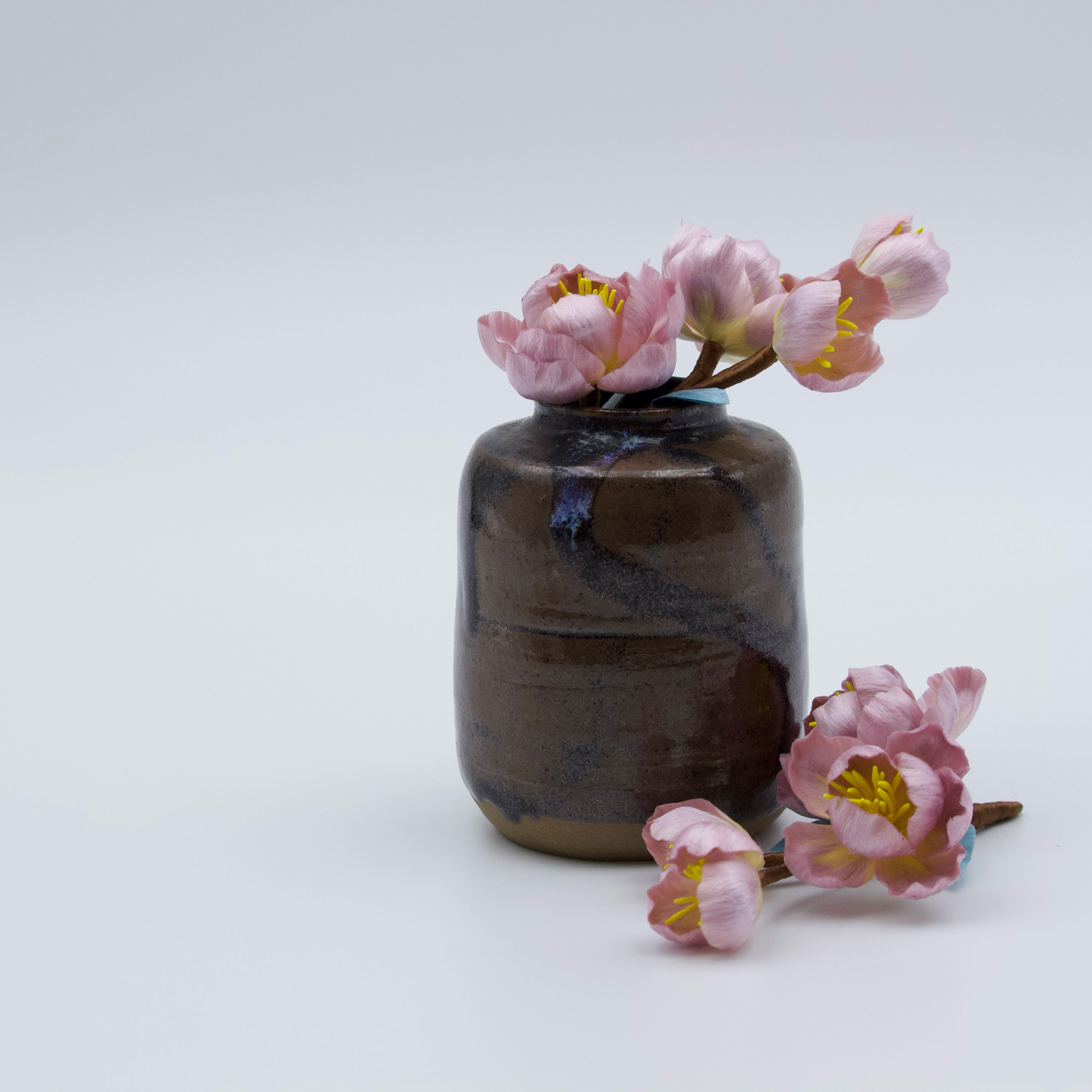 Tang Blossom Delight - Ronghua Begonia