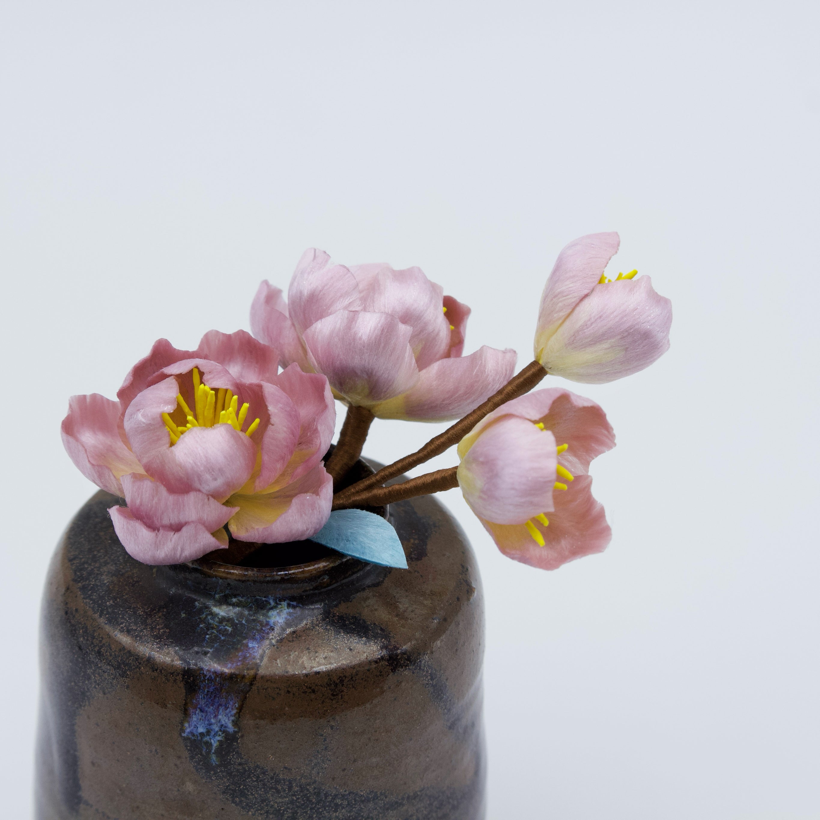 Tang Blossom Delight - Ronghua Begonia