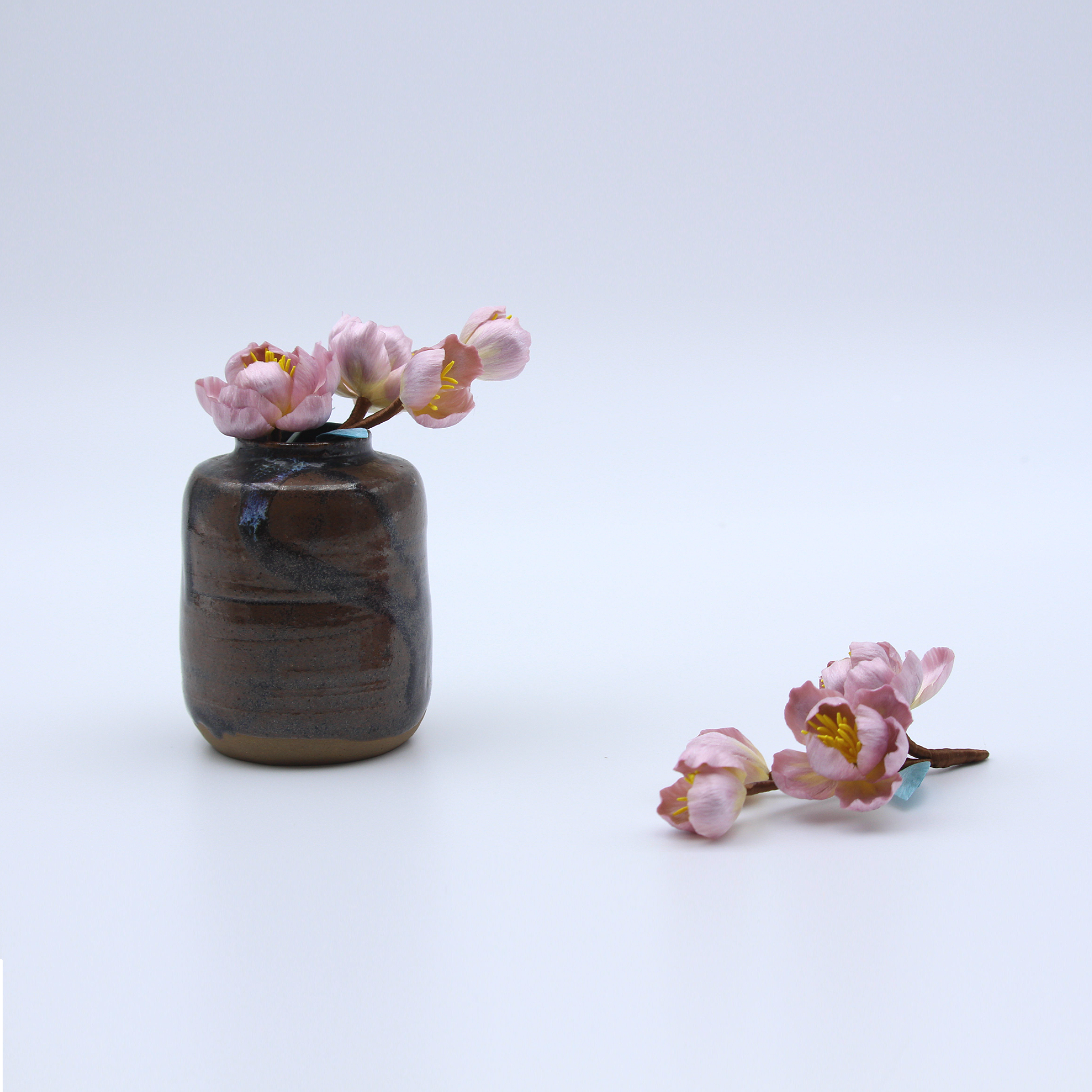 Tang Blossom Delight - Ronghua Begonia