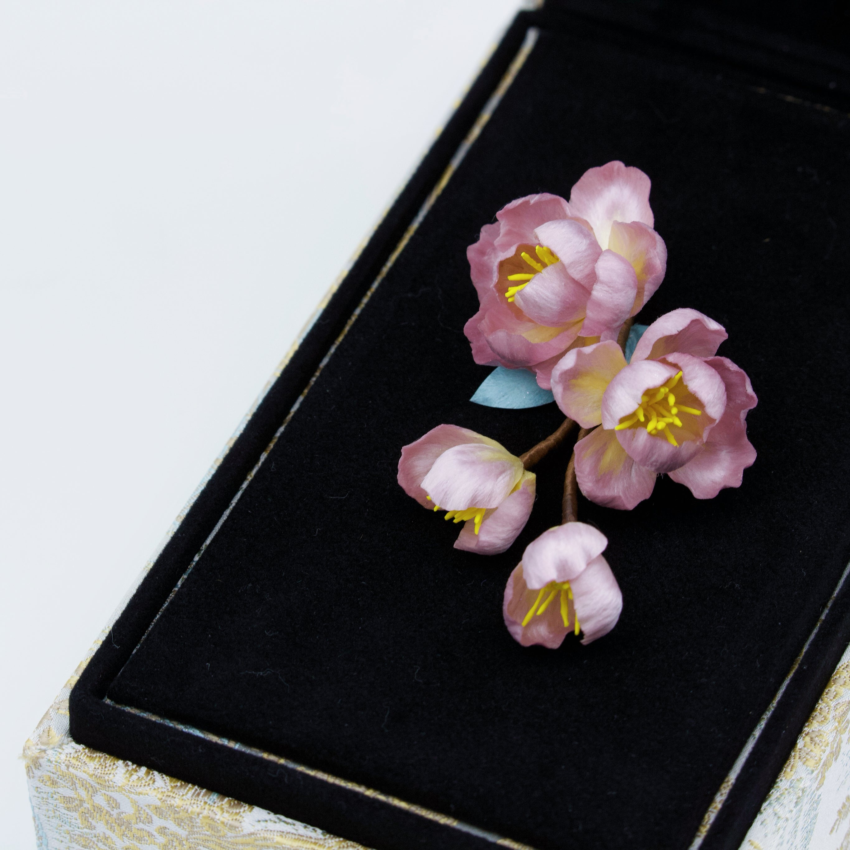 Tang Blossom Delight - Ronghua Begonia